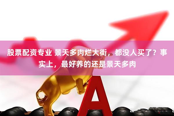 股票配资专业 景天多肉烂大街,都没人买了?事实上,最好养的还是景天多肉