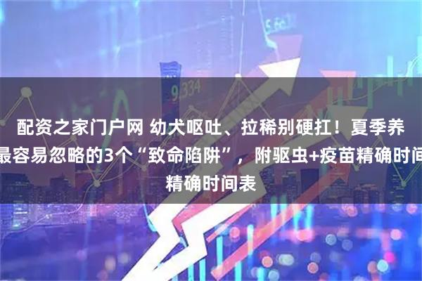配资之家门户网 幼犬呕吐、拉稀别硬扛！夏季养狗最容易忽略的3个“致命陷阱”，附驱虫+疫苗精确时间表